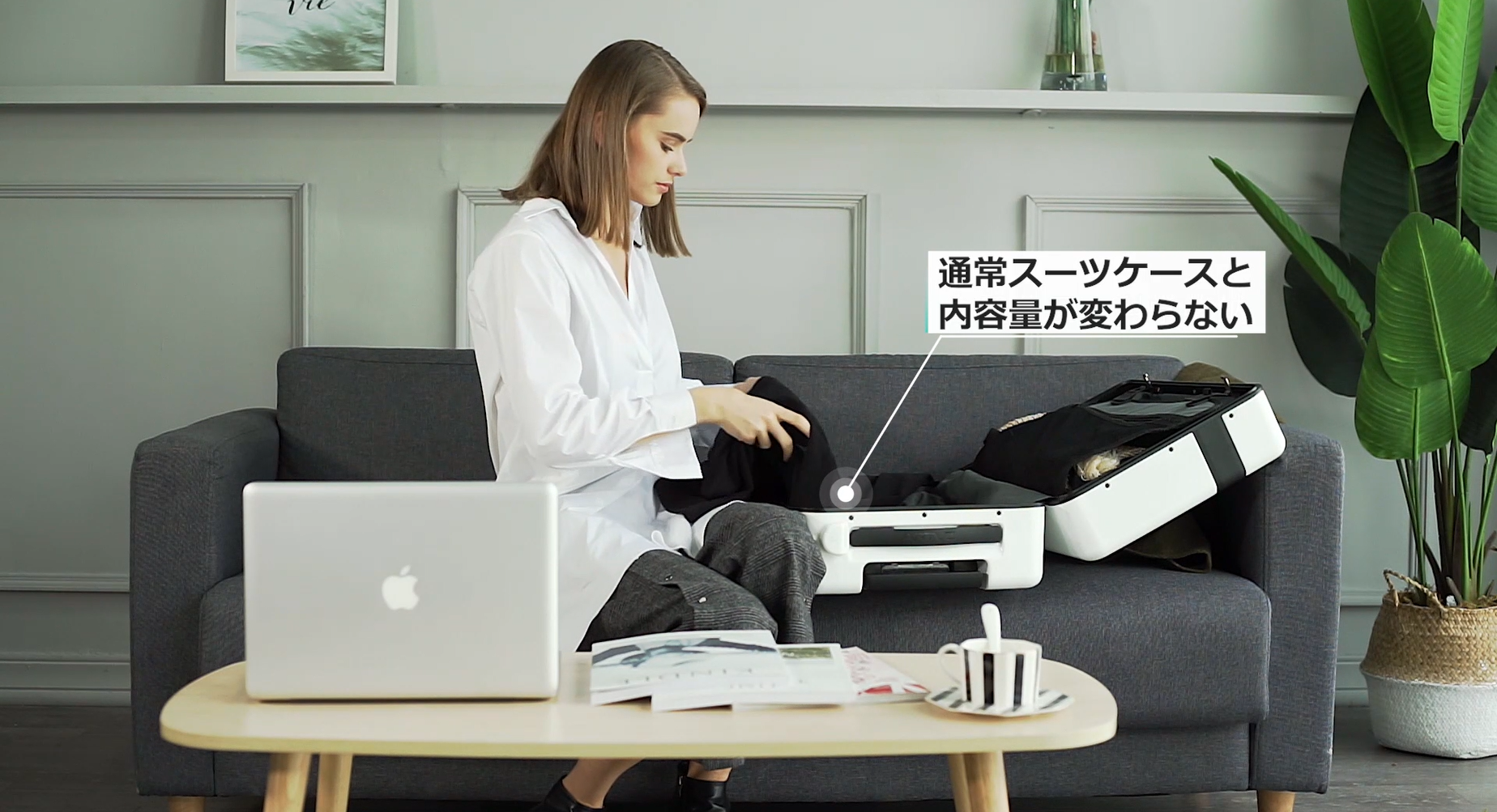 動画を読み込む: 
