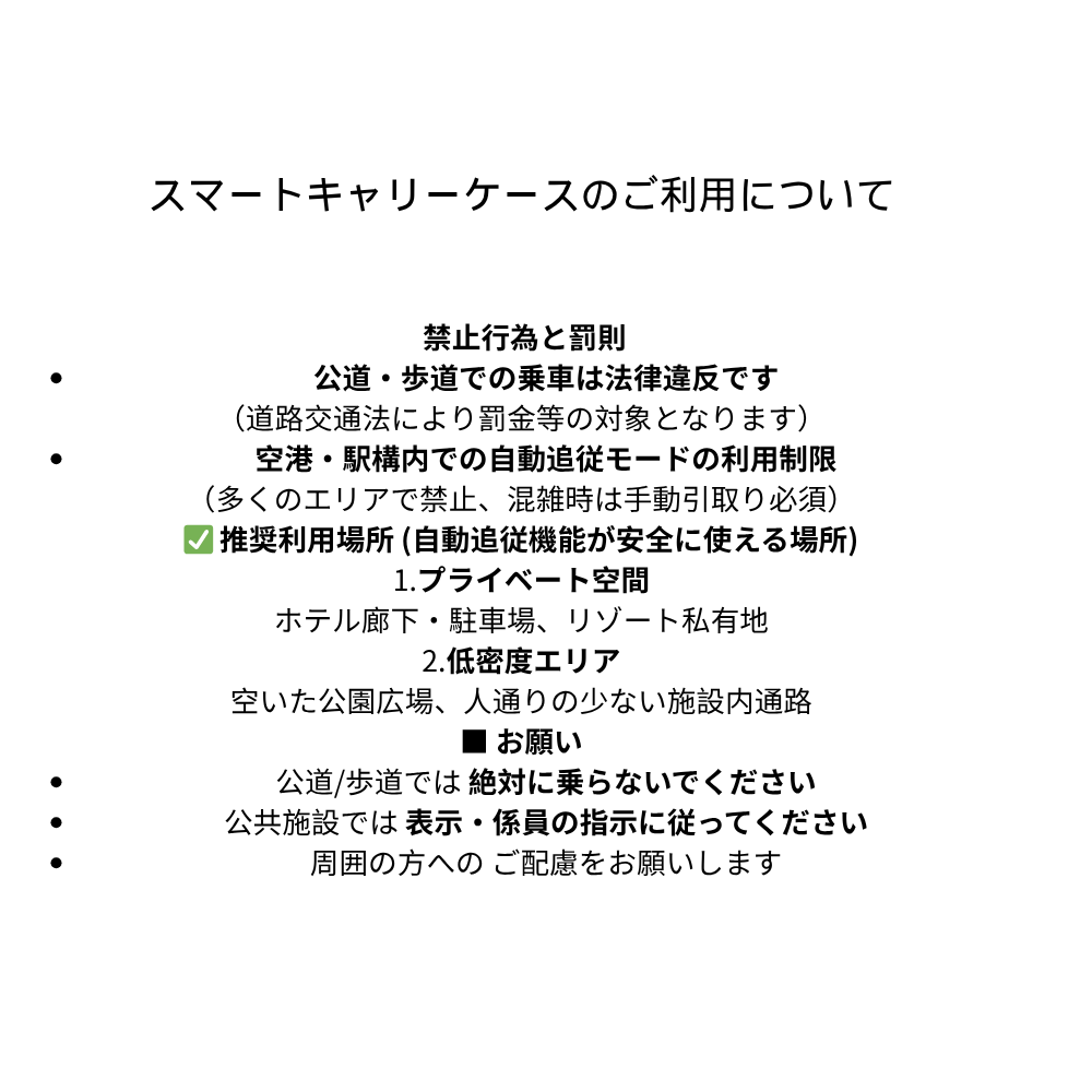 近未来型AI自動追尾キャリーケース（Sサイズ）